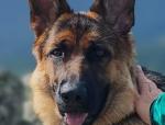 XENA Augenblick