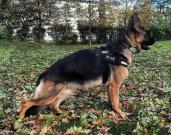 XENA Augenblick